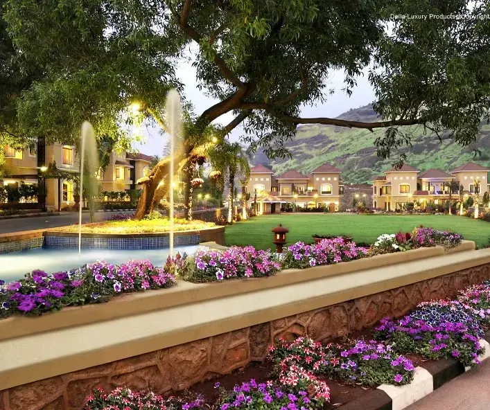 Della Township Vision