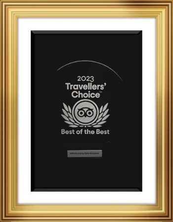 Leagcy certificate-6
