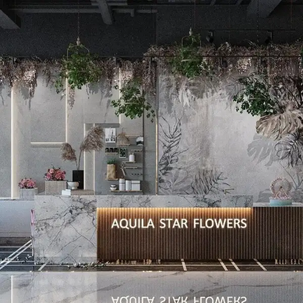 Aquila Star Fragrance Showroom