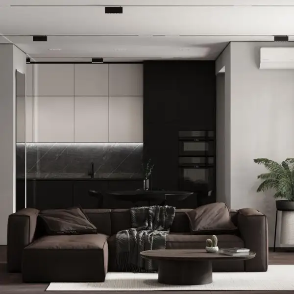 Minimalistic Penthouse