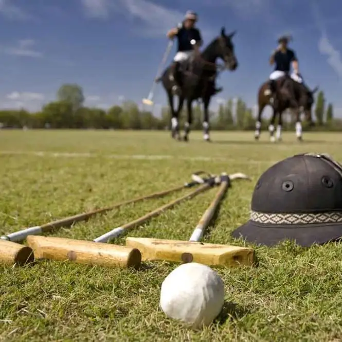 Brand Collaboration | Norah