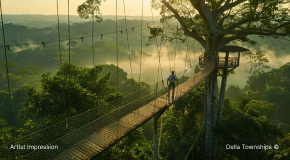 Forest canopy walk at Della Townships Nagpur Bor Reserve wildlife adventure park