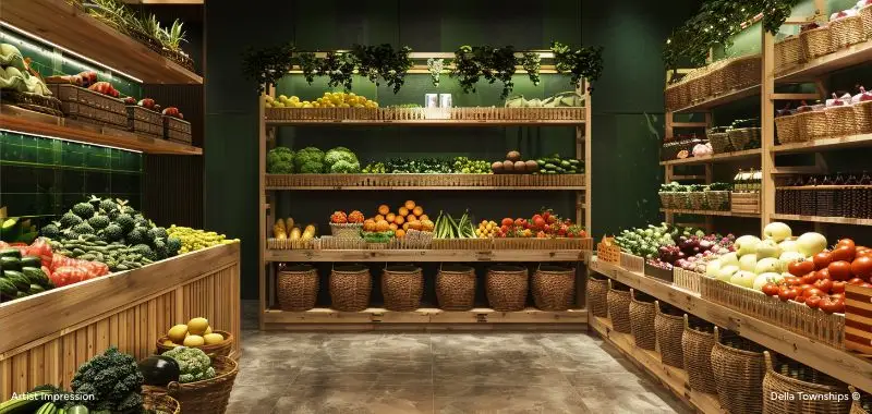 Vertical Farming (Hydroponics) - Rooftop