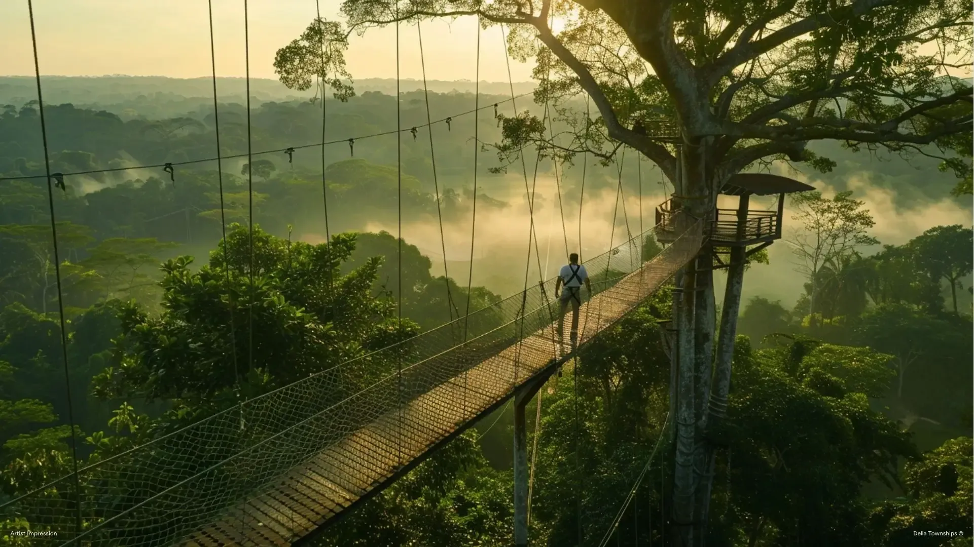 Forest canopy walk at Della Townships Nagpur Della Bor Wildlife Reserve & Racecourse wildlife adventure park